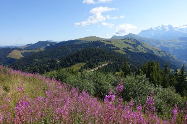 Mont de Vorès photo 4