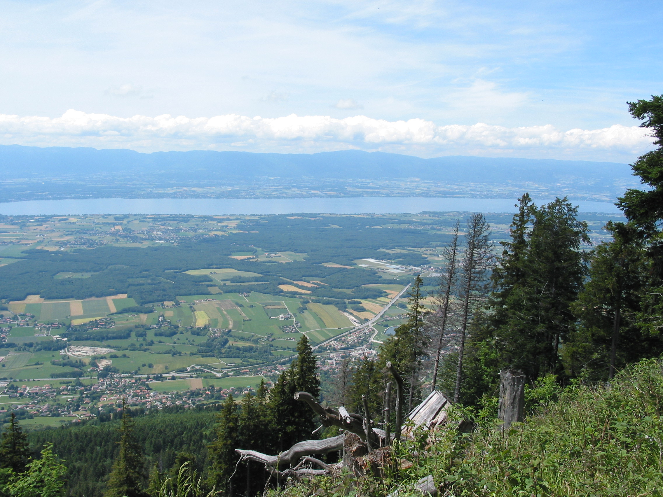 Saint-Cergues, Auvergne-Rhone-Alpes