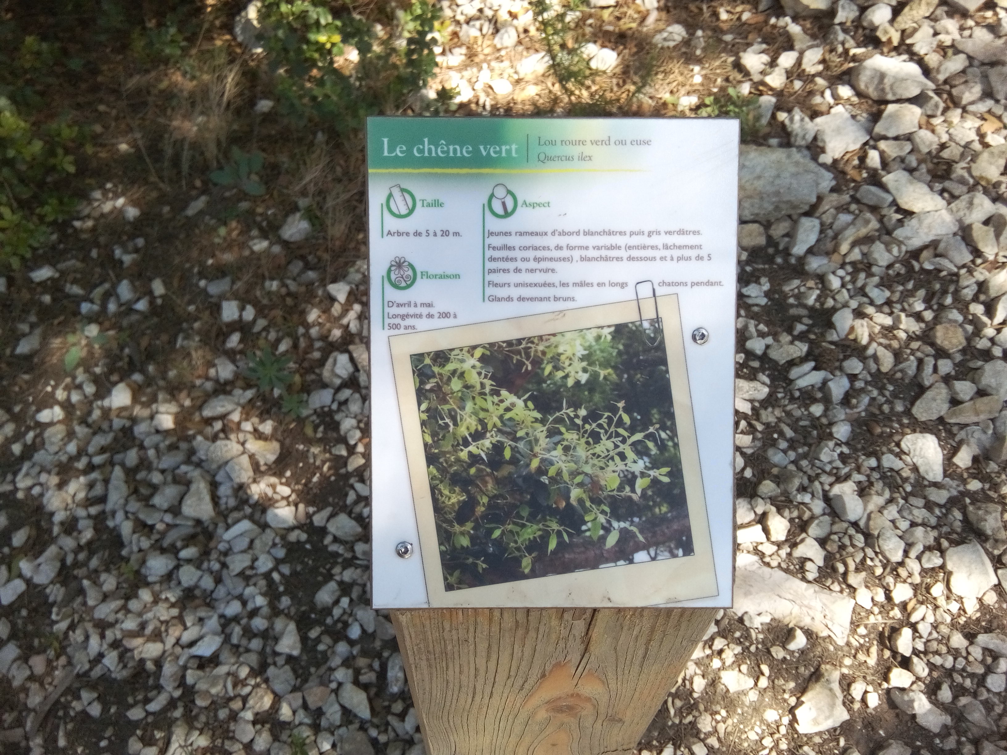 Sausset-les-Pins photo 2