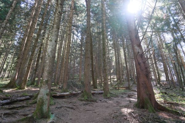 Mont de Vouan photo 4