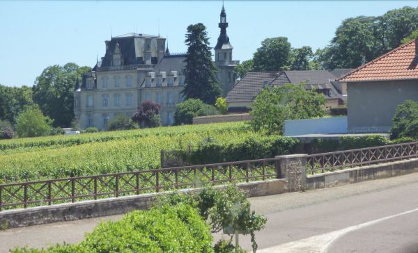 Nuits-Saint-Georges photo 3