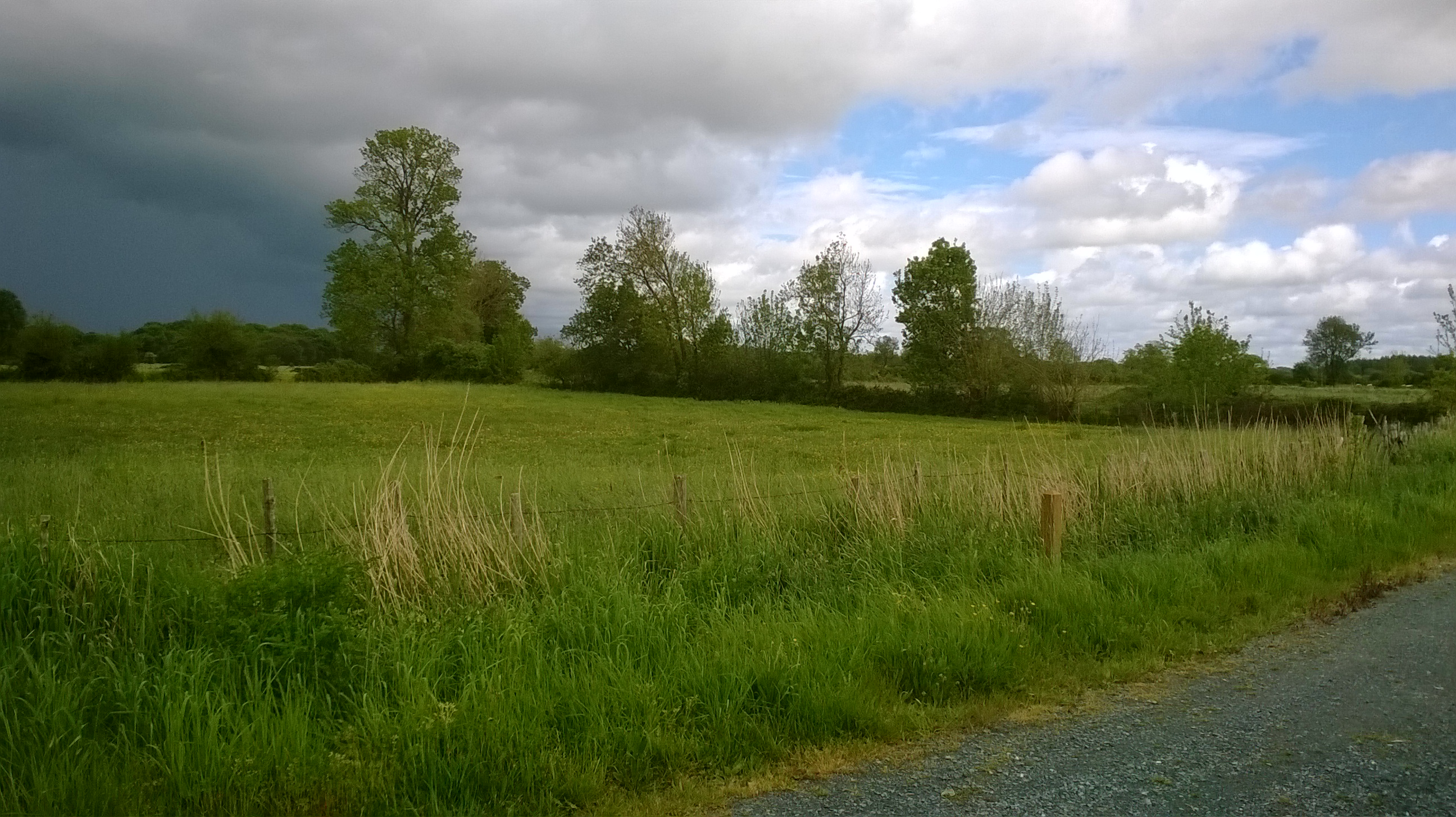 Saint-Gildas-des-Bois photo 2