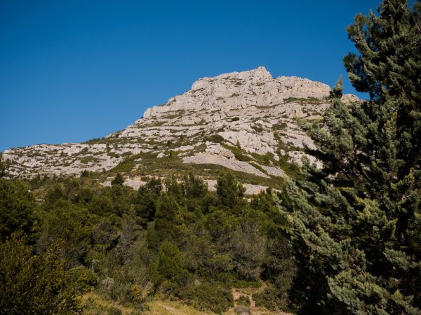Mont Puget photo 3