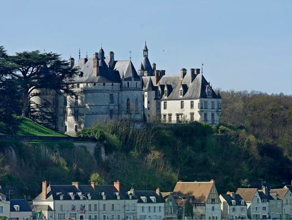 Saint-Cyr-sur-Loire photo 4