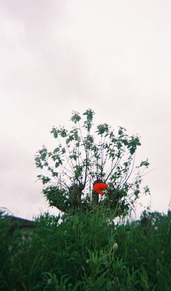Rochechouart photo 2