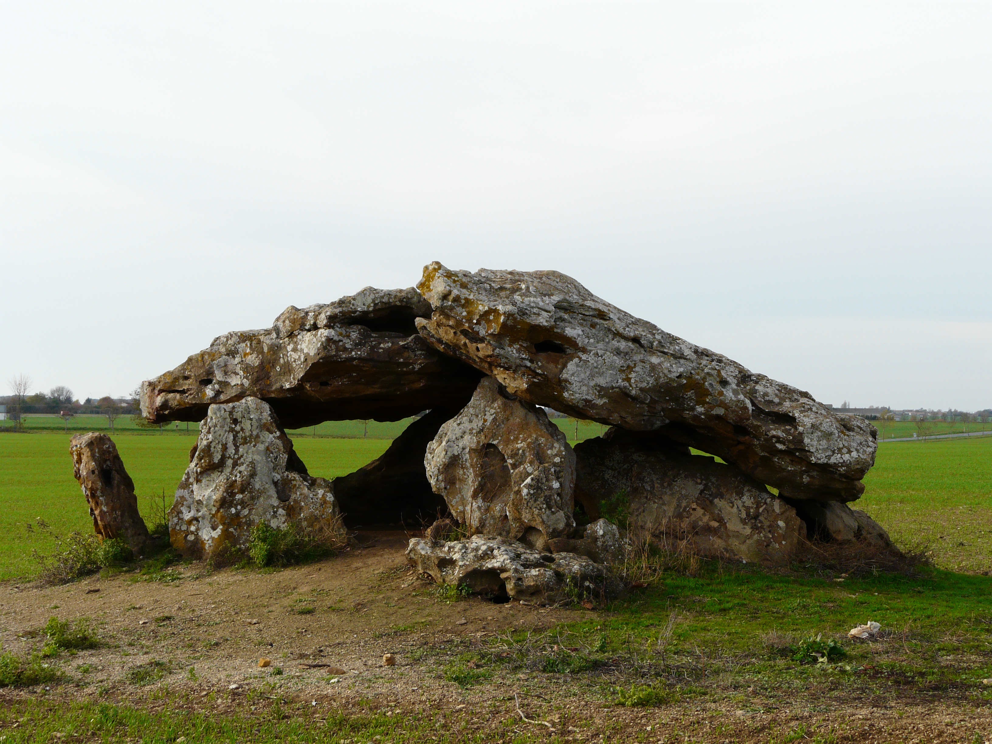 Neuville-de-Poitou photo 2