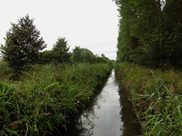 Râches photo 4