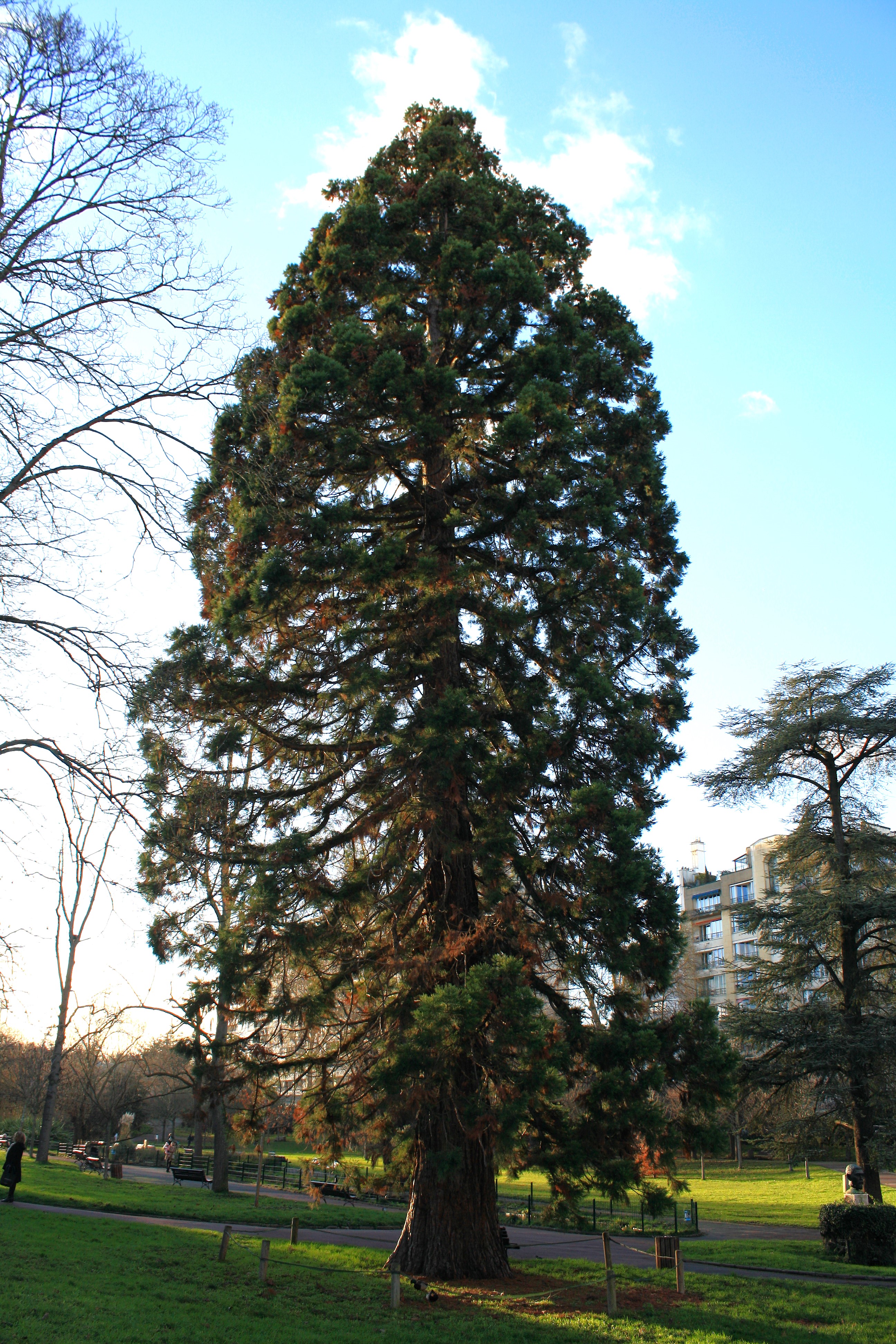Vanves photo 4