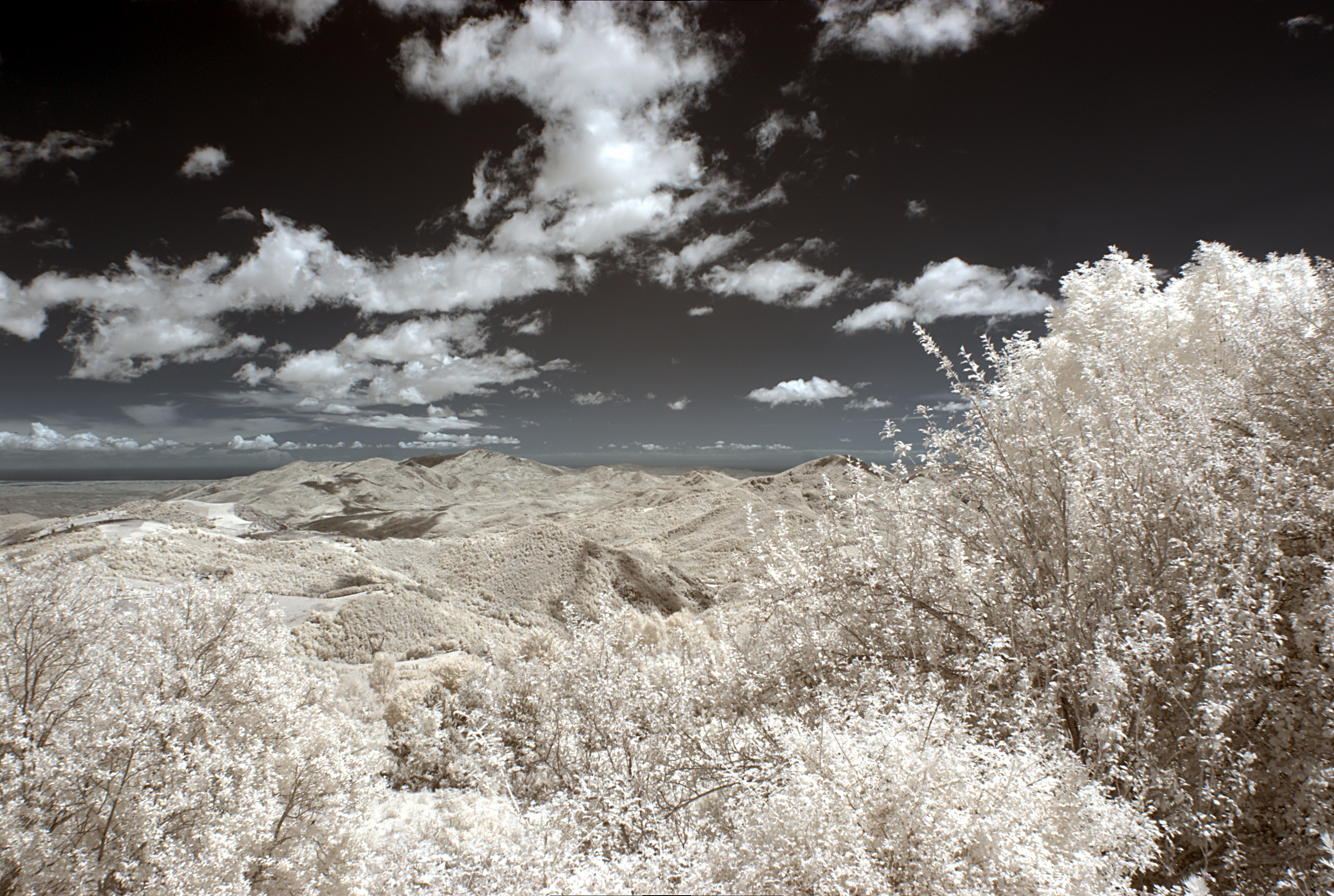 Montagne du Prat photo 4