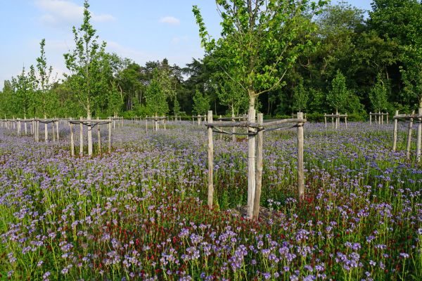 Sceaux photo 3