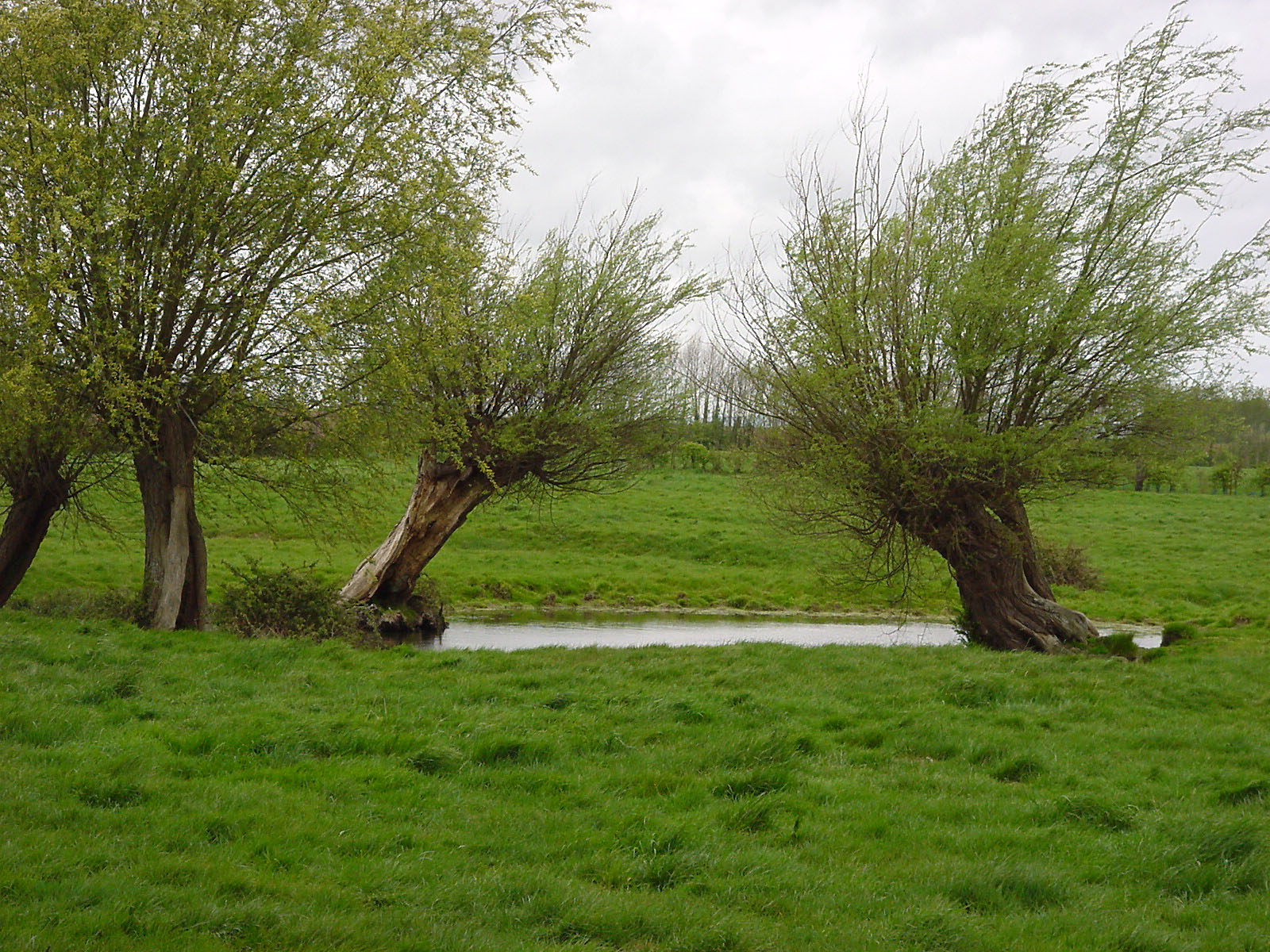 Mont du Saule photo 2
