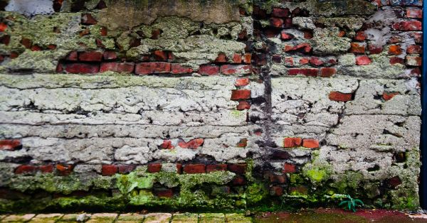 Tourcoing photo 4