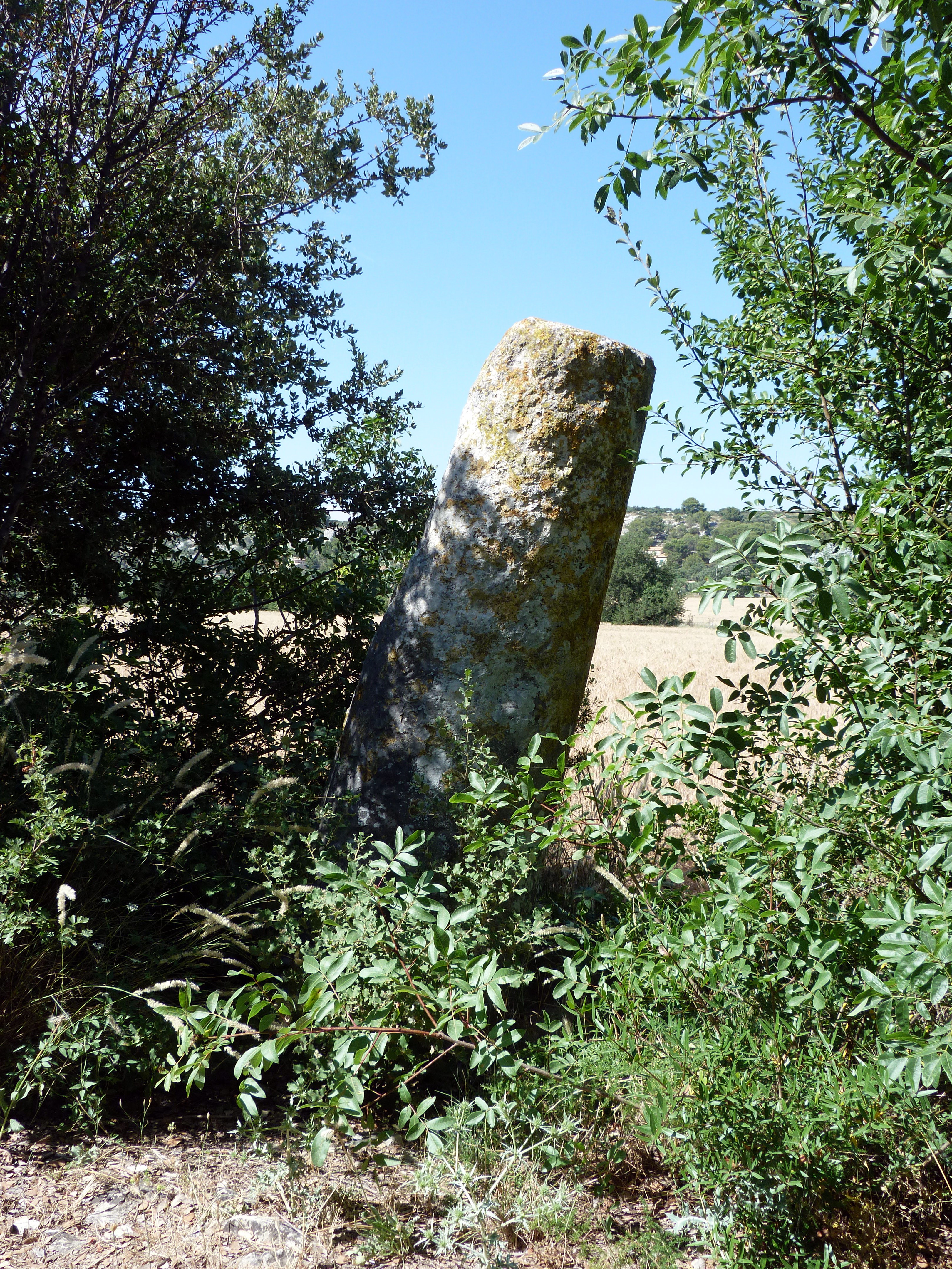 Pélissanne photo 3