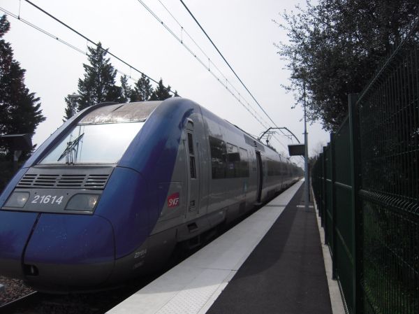 Ondres photo 4