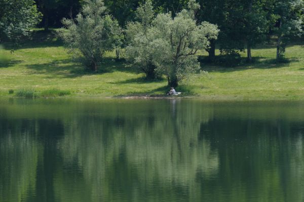 Bassin de Saint-Ferréol, Occitanie