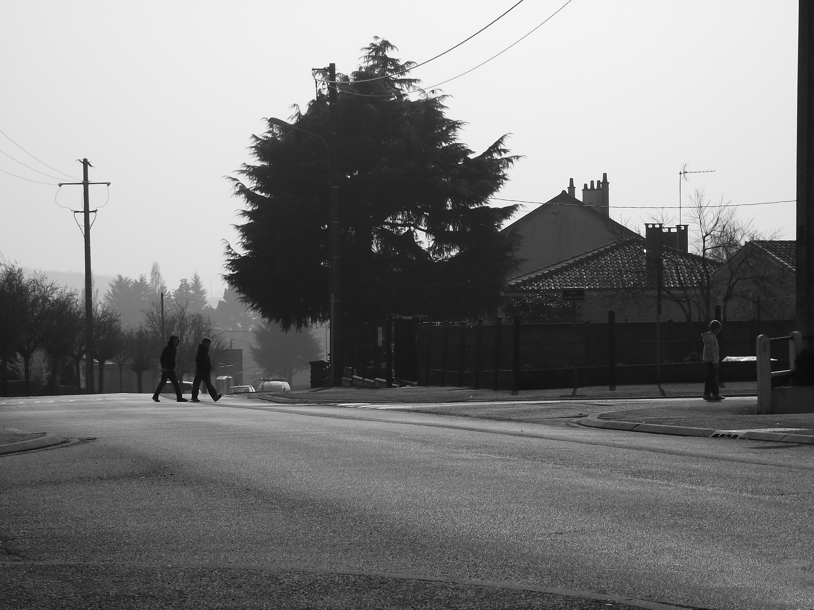 Saint-Pierre-Montlimart photo 4