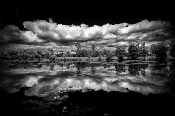 Six-Fours-les-Plages photo 3