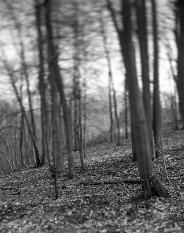 Viarmes photo 3