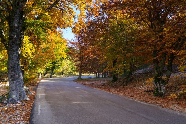 Mont Ventoux, Provence-Alpes-Cote d'Azur