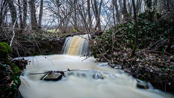 Vic-le-Comte photo 3