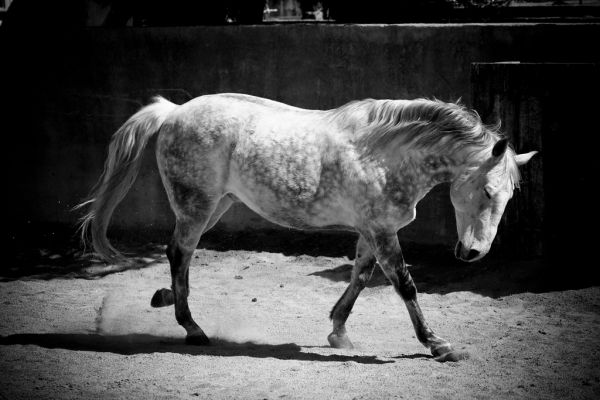 Vauvert photo 4