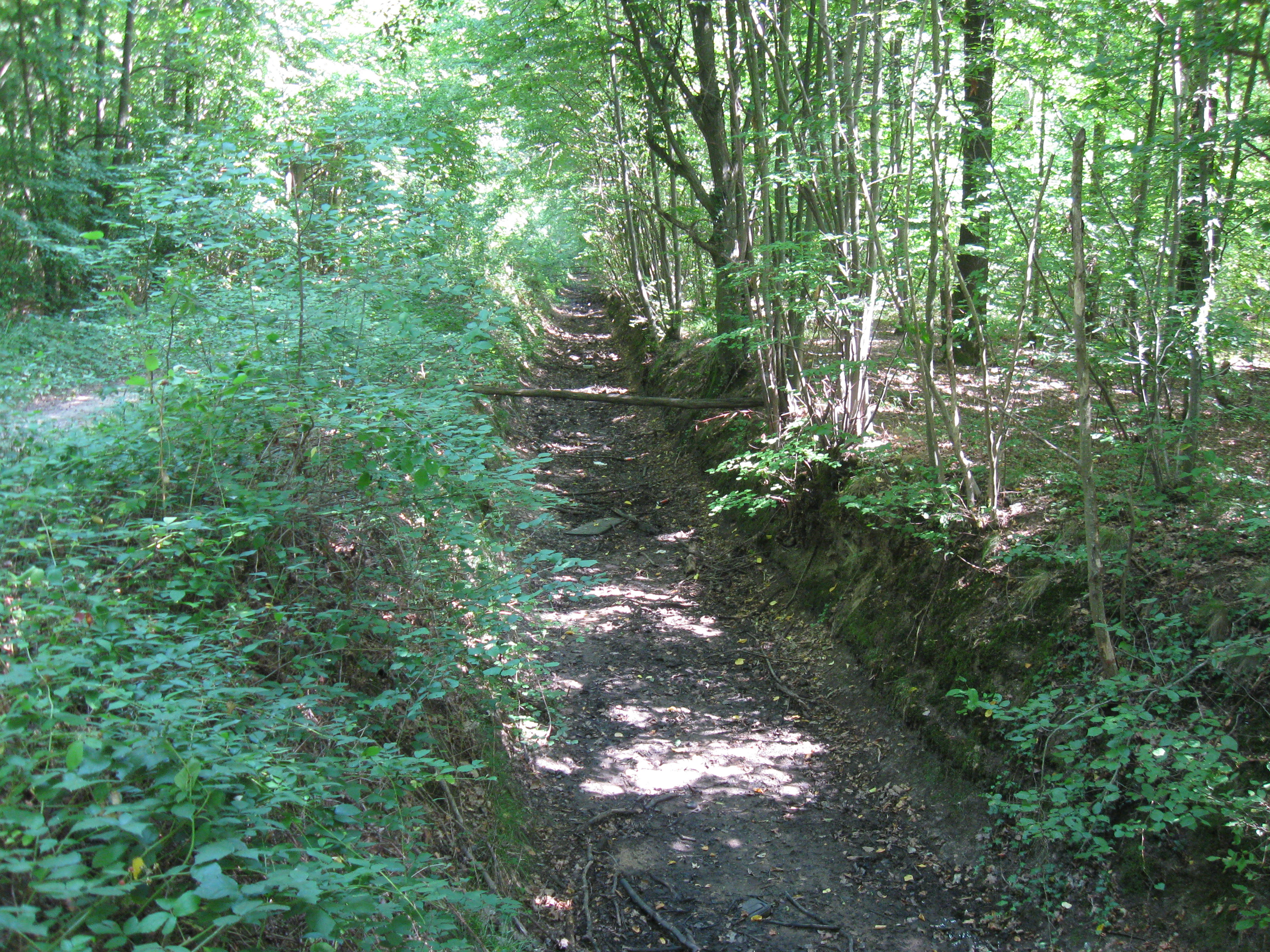 Ozoir-la-Ferrière photo 3