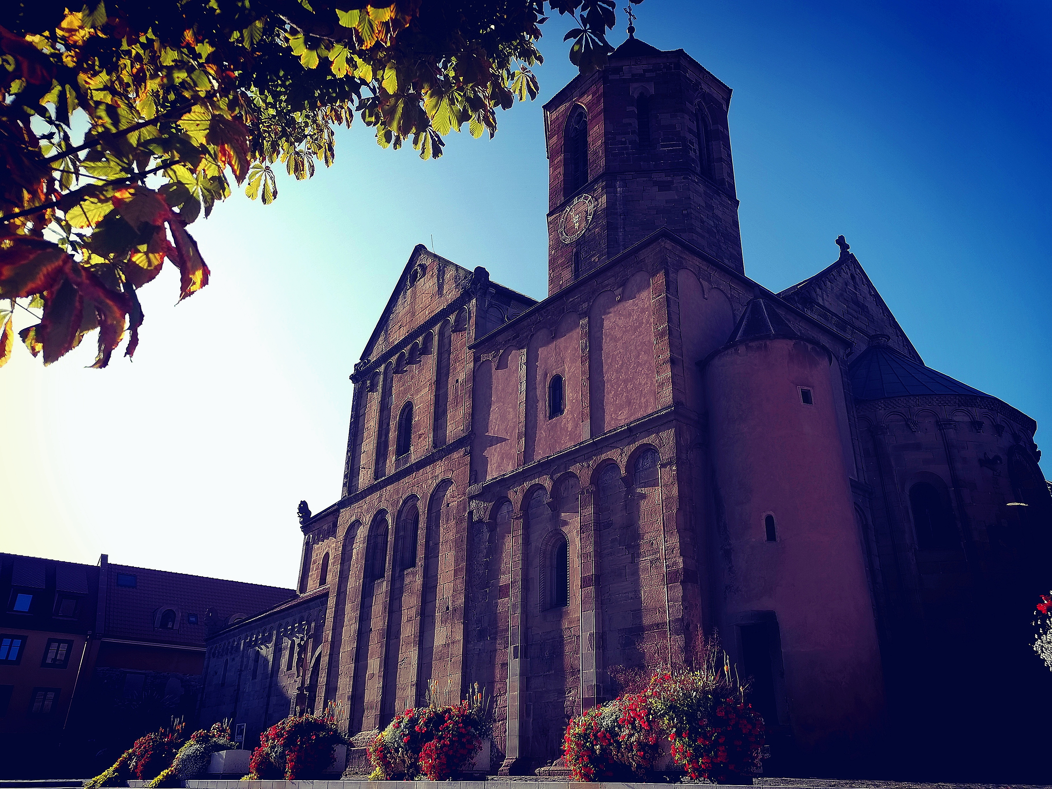 Rosheim, Grand Est