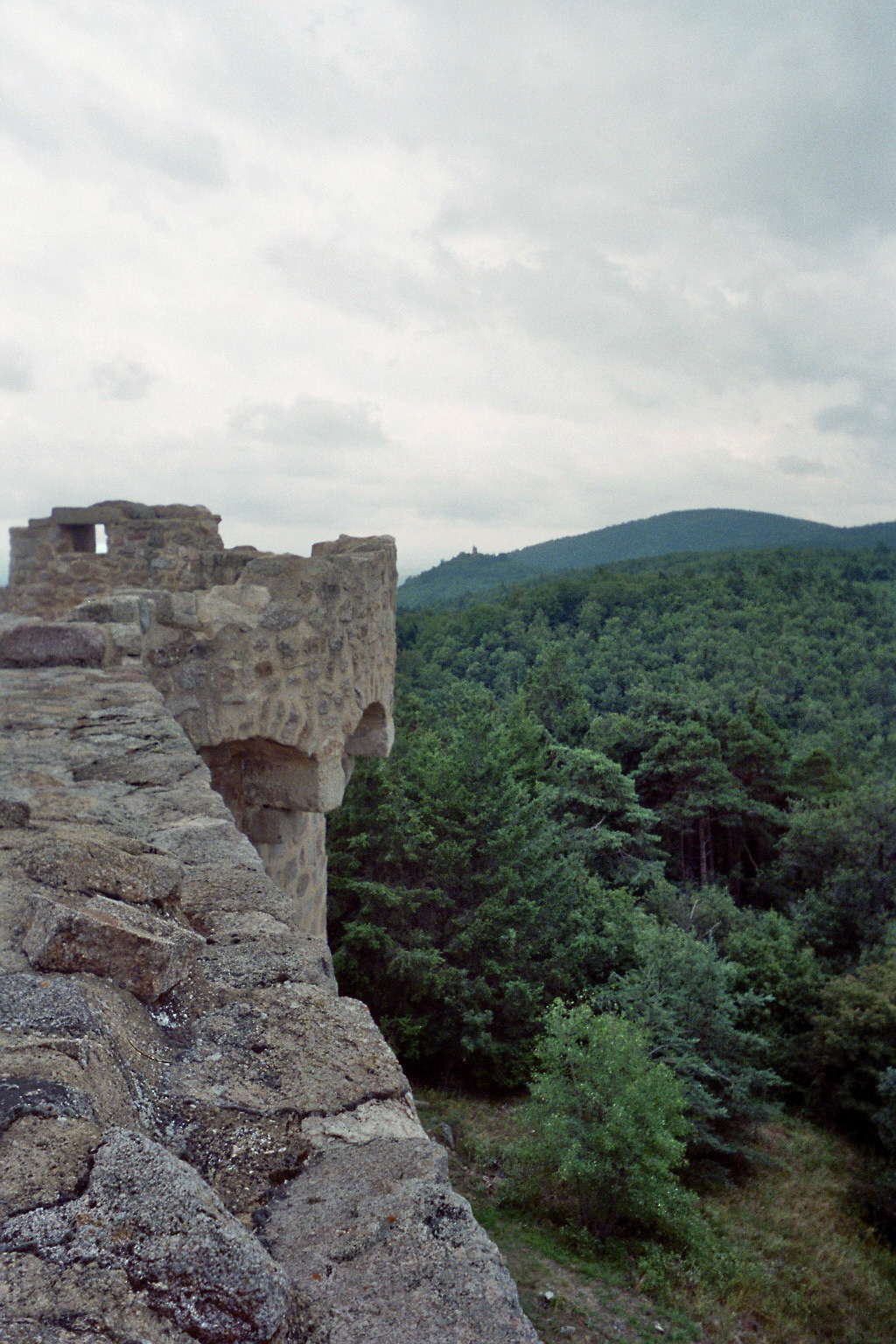 Wintzenheim photo 4