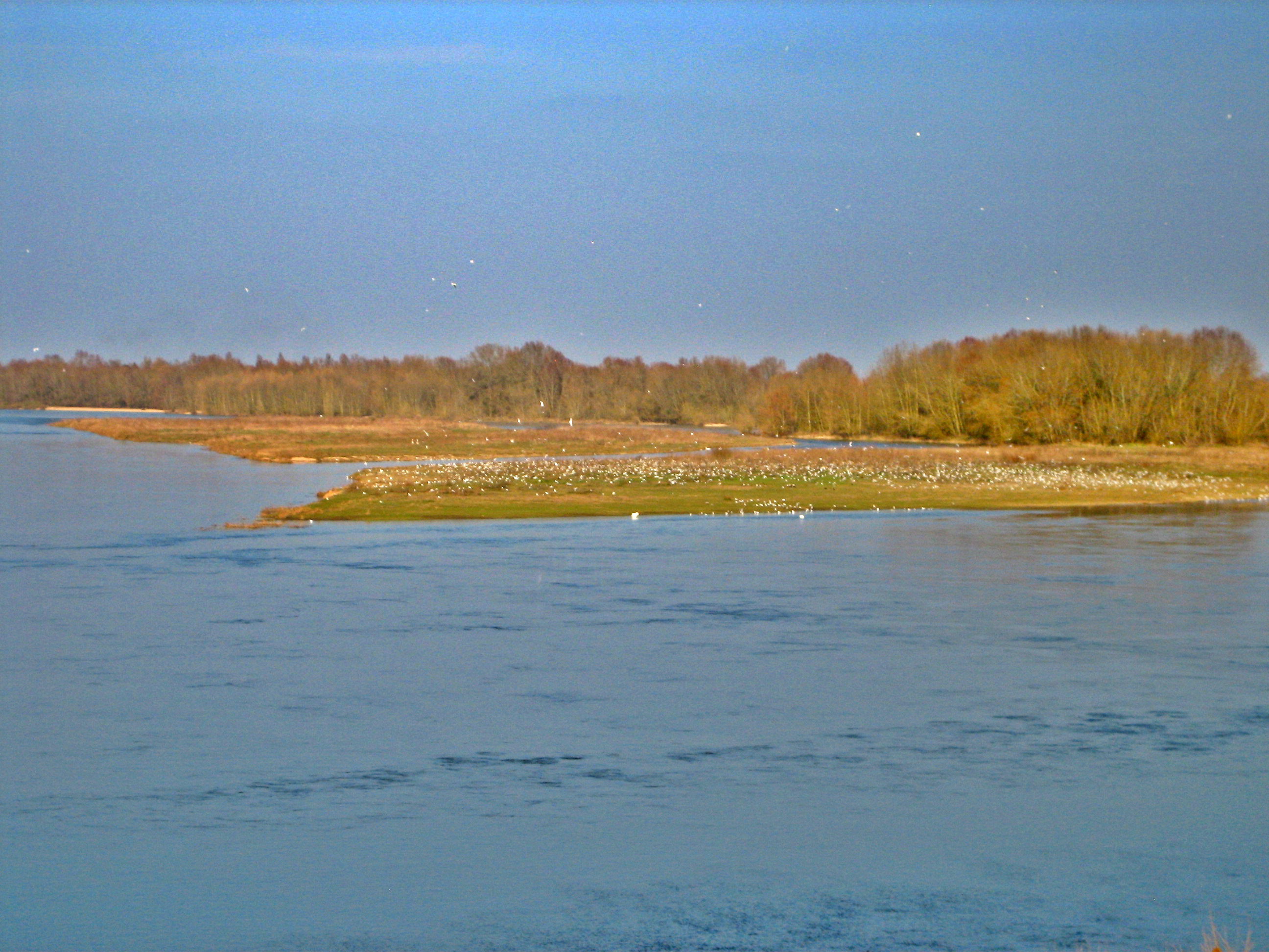 Sandillon, Centre-Val de Loire