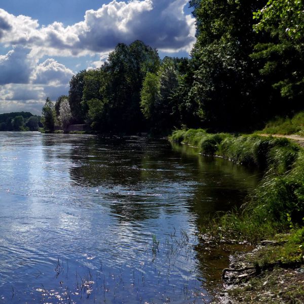 Sainte-Gemmes-sur-Loire photo 3