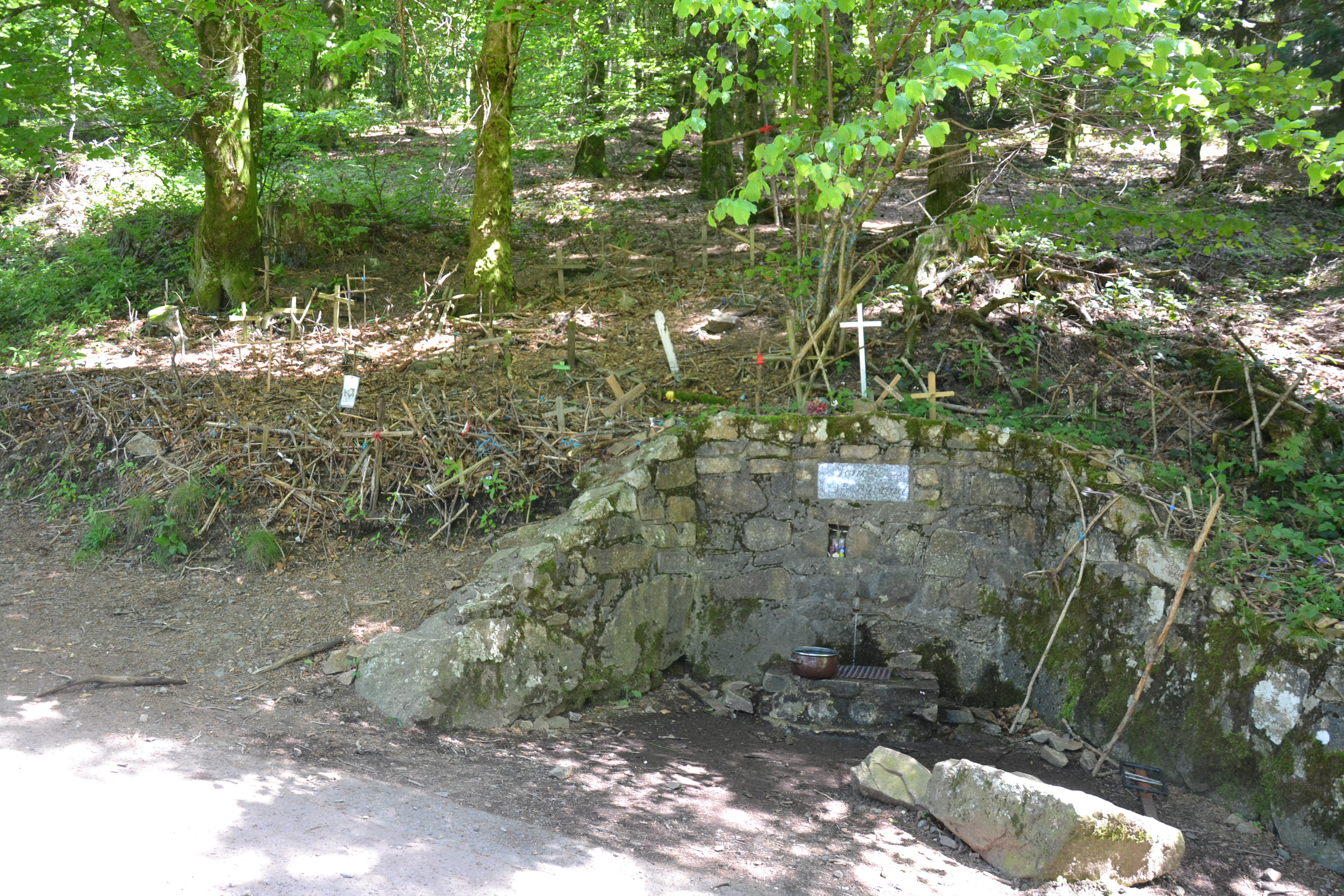 Mont Saint-Rigaud photo 2