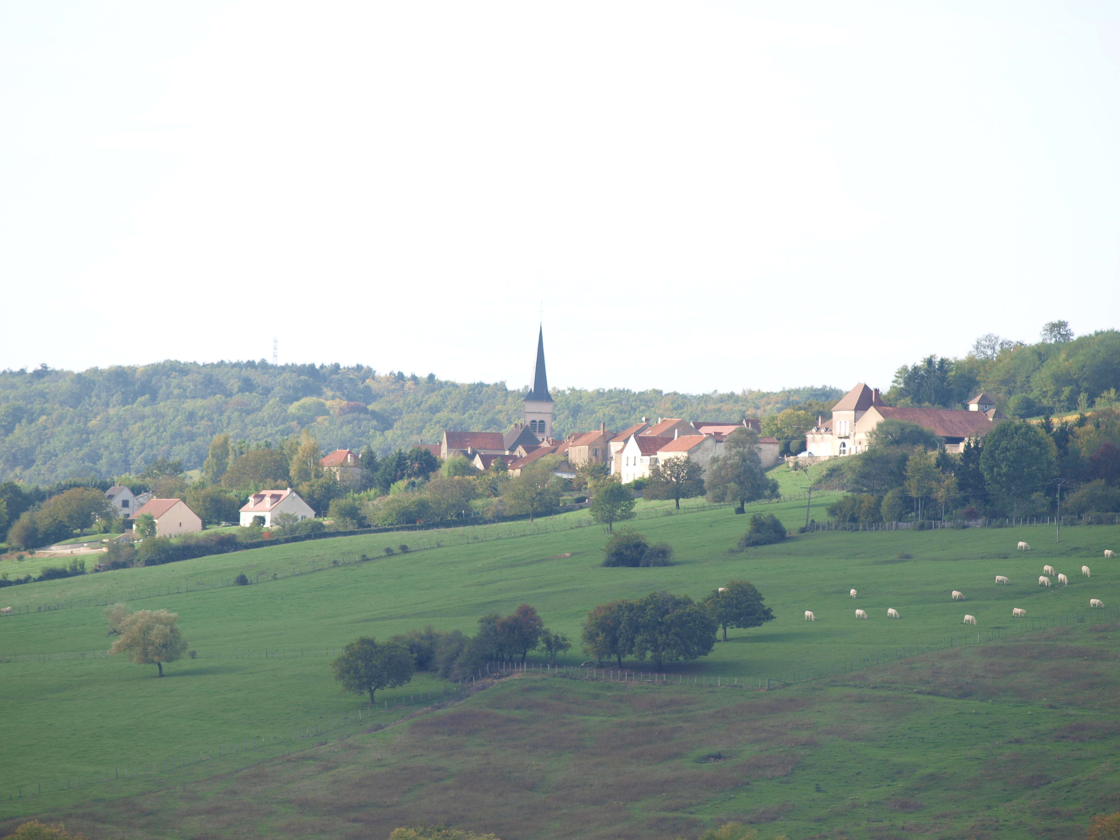 Wassy photo 3