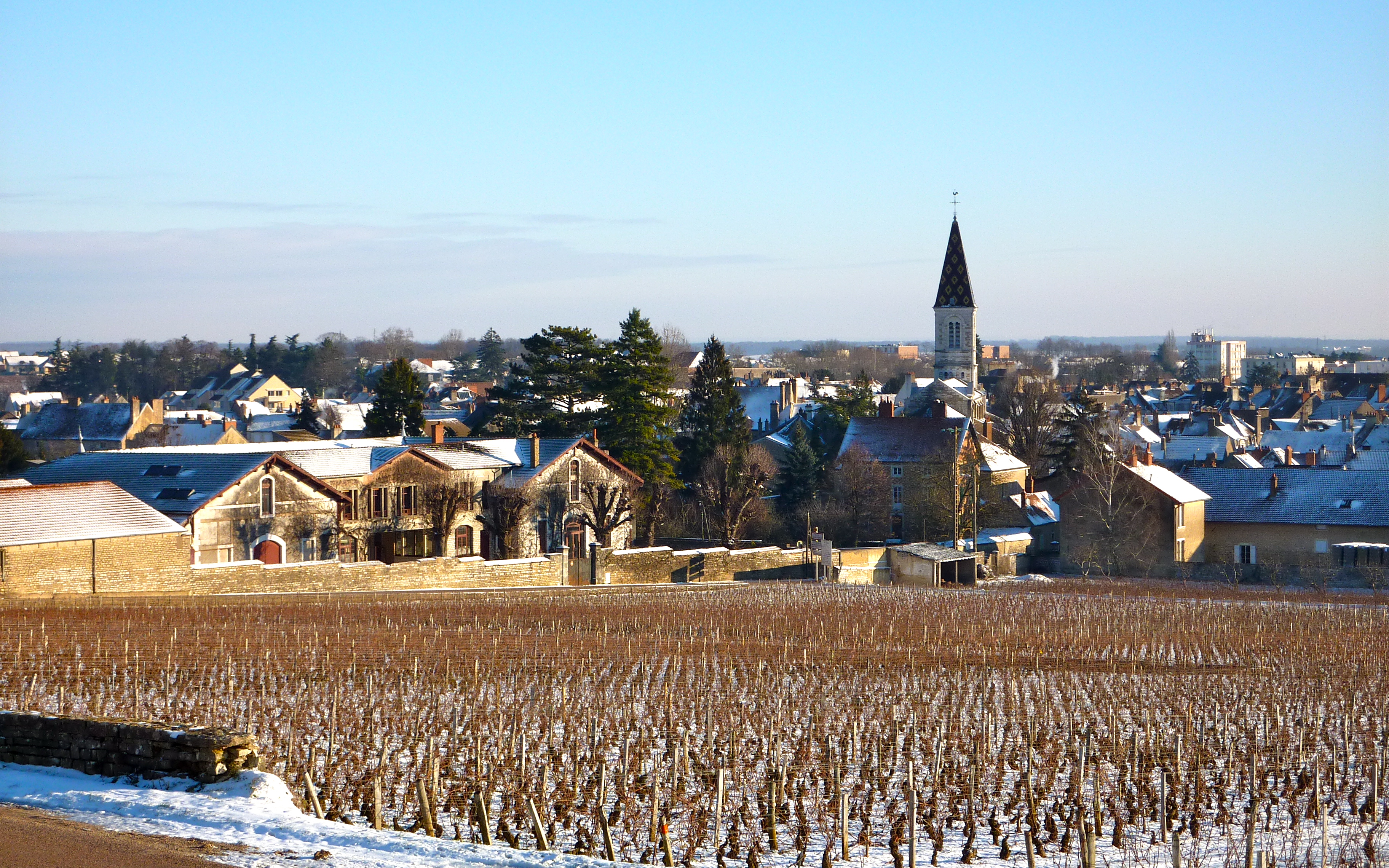 Nuits-Saint-Georges, Bourgogne-Franche-Comte