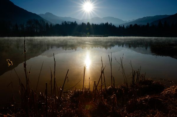 Taninges, Auvergne-Rhone-Alpes