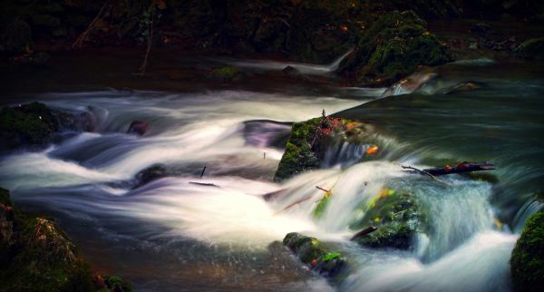 Pommeuse photo 2
