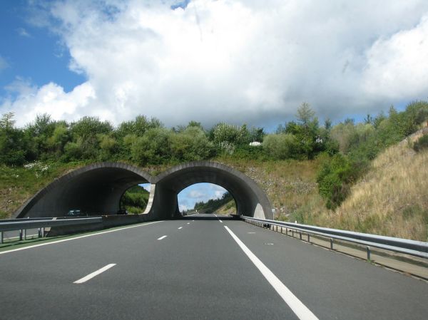 Ussel photo 3