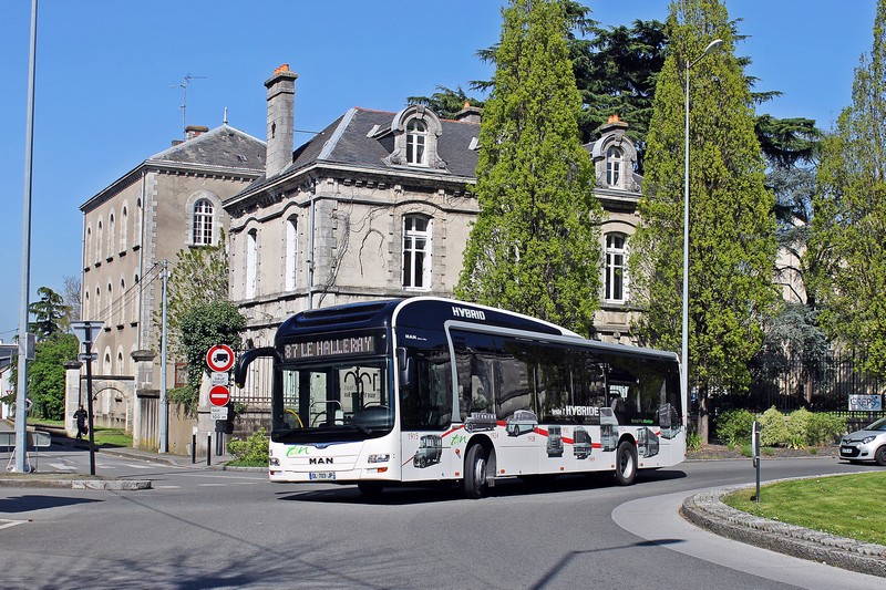 Thouaré-sur-Loire photo 3
