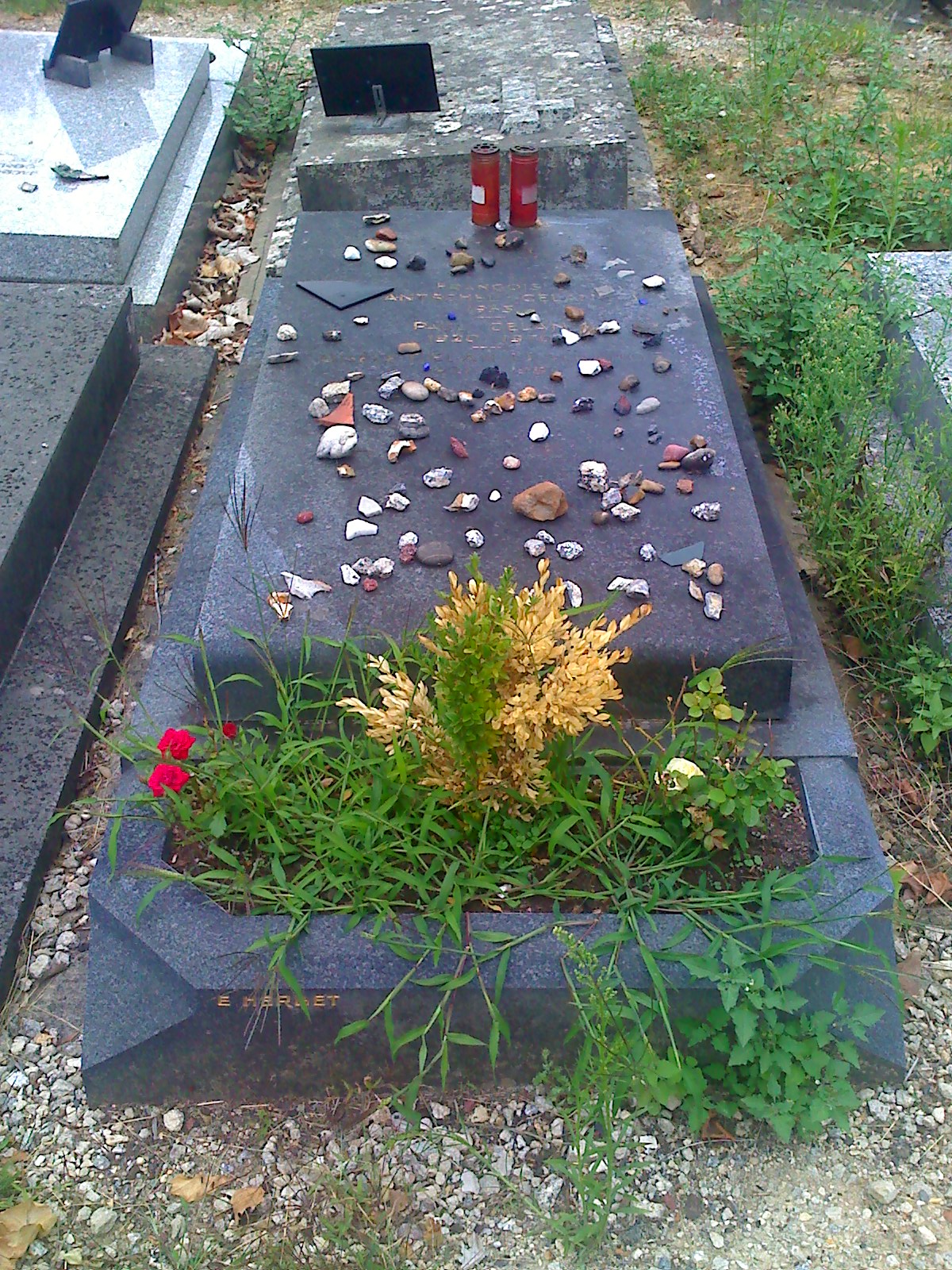 Thiais photo 2