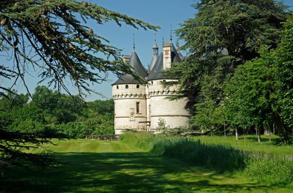 Saint-Cyr-sur-Loire photo 3