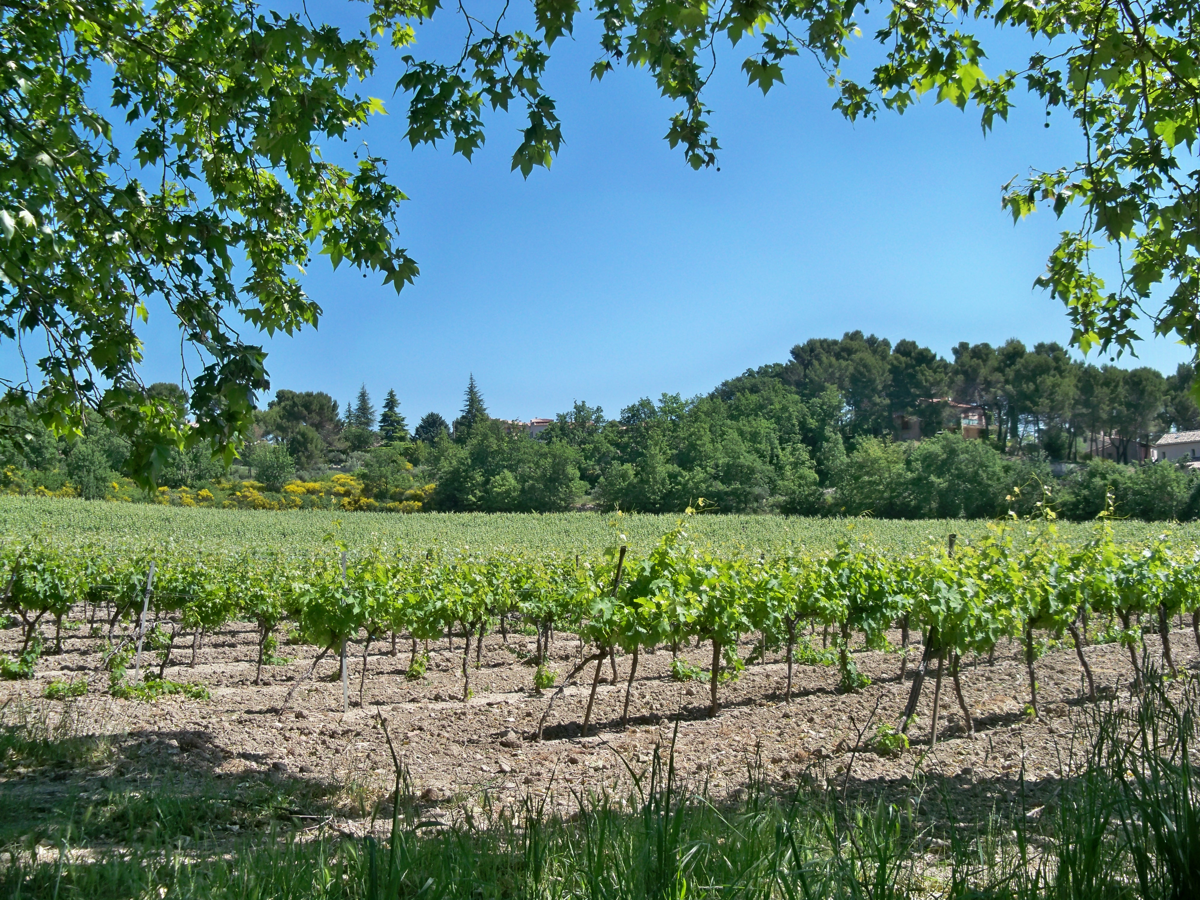 Pierrevert photo 4