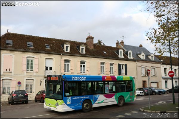 Paron photo 4