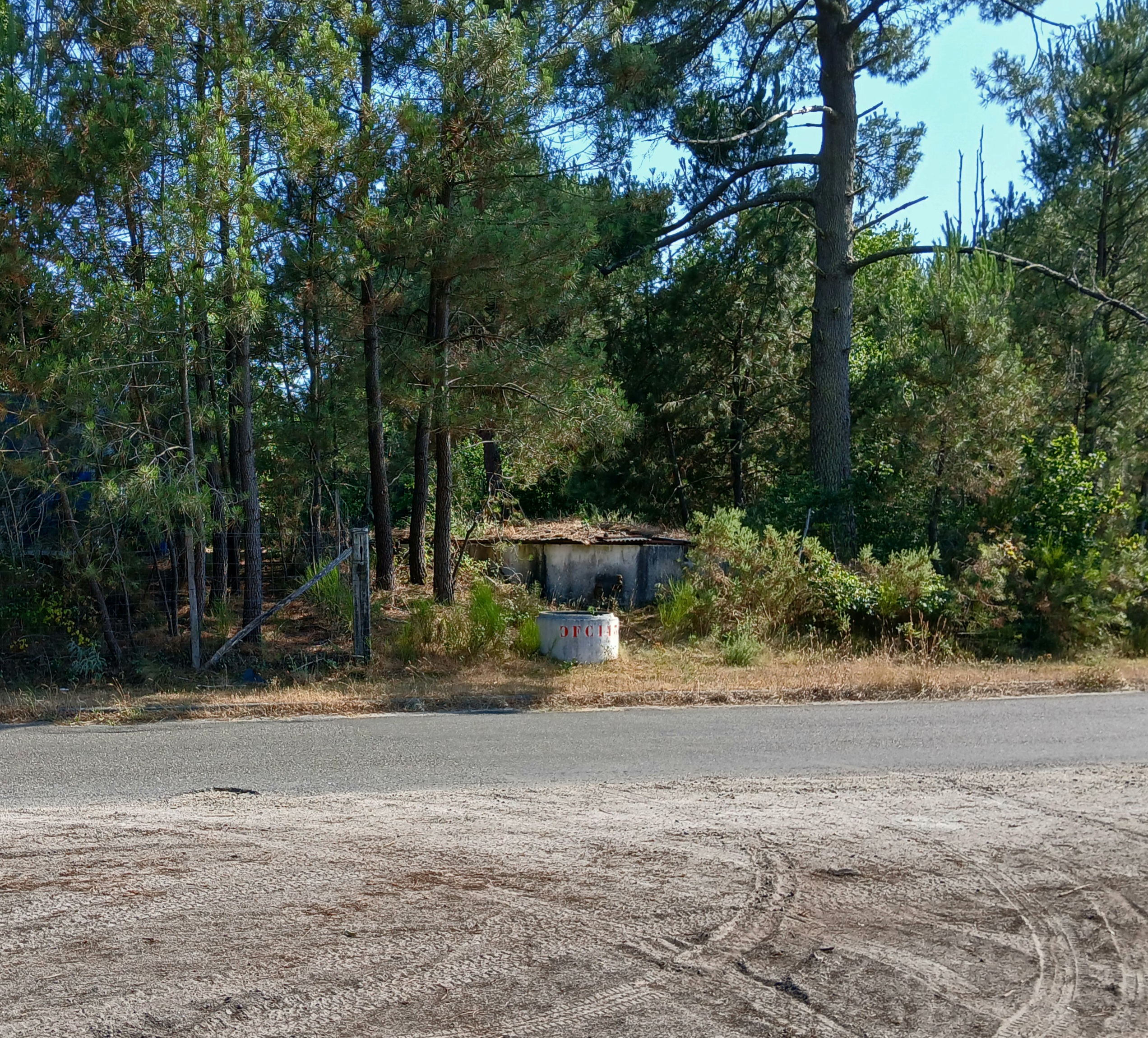 Parentis-en-Born photo 2