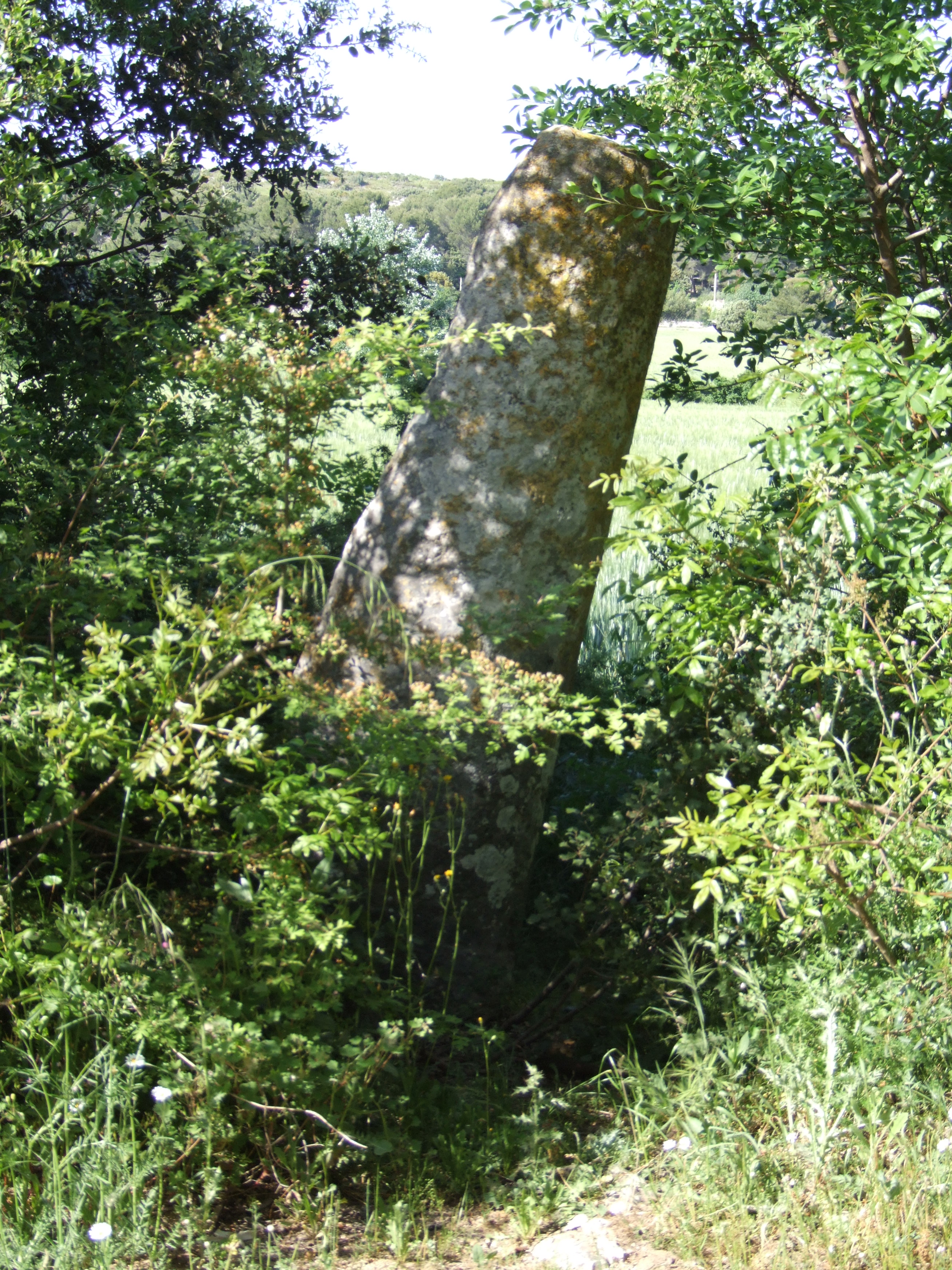 Pélissanne photo 2