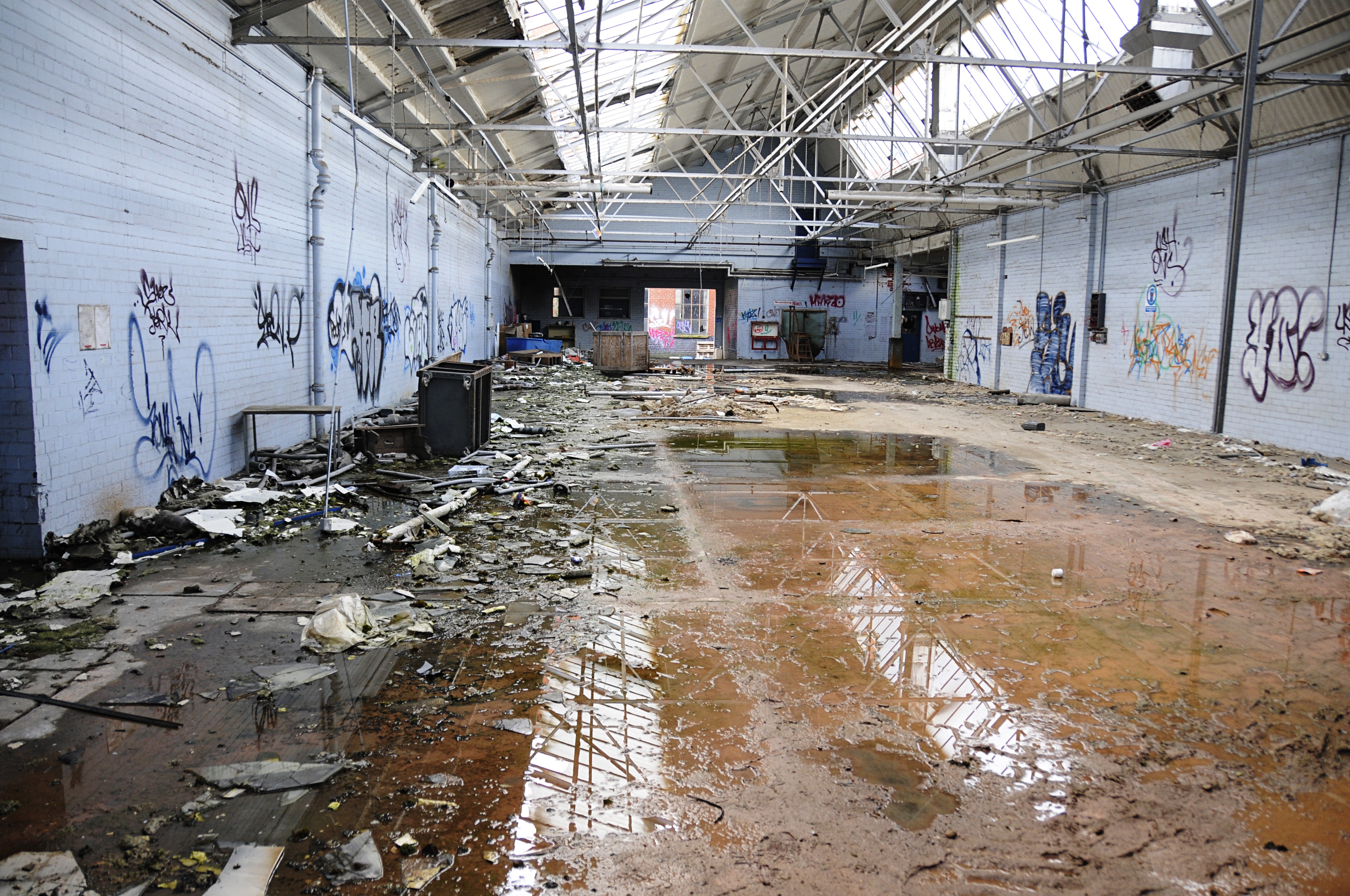 Torcy photo 4