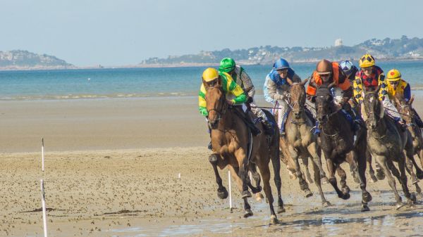 Plestin-les-Grèves photo 4