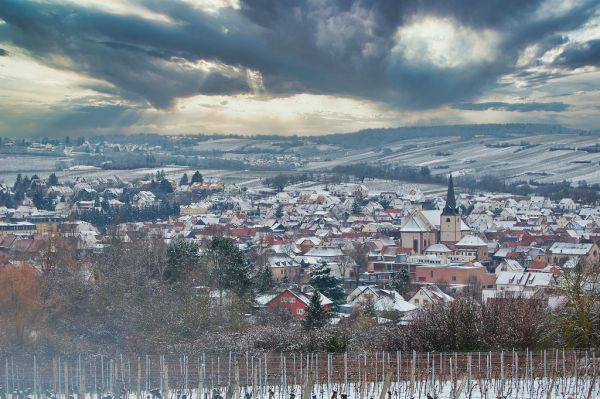 Rosheim photo 2