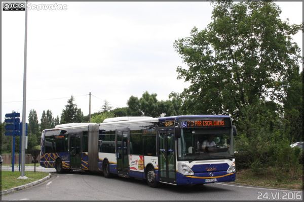 Saint-Orens-de-Gameville photo 3