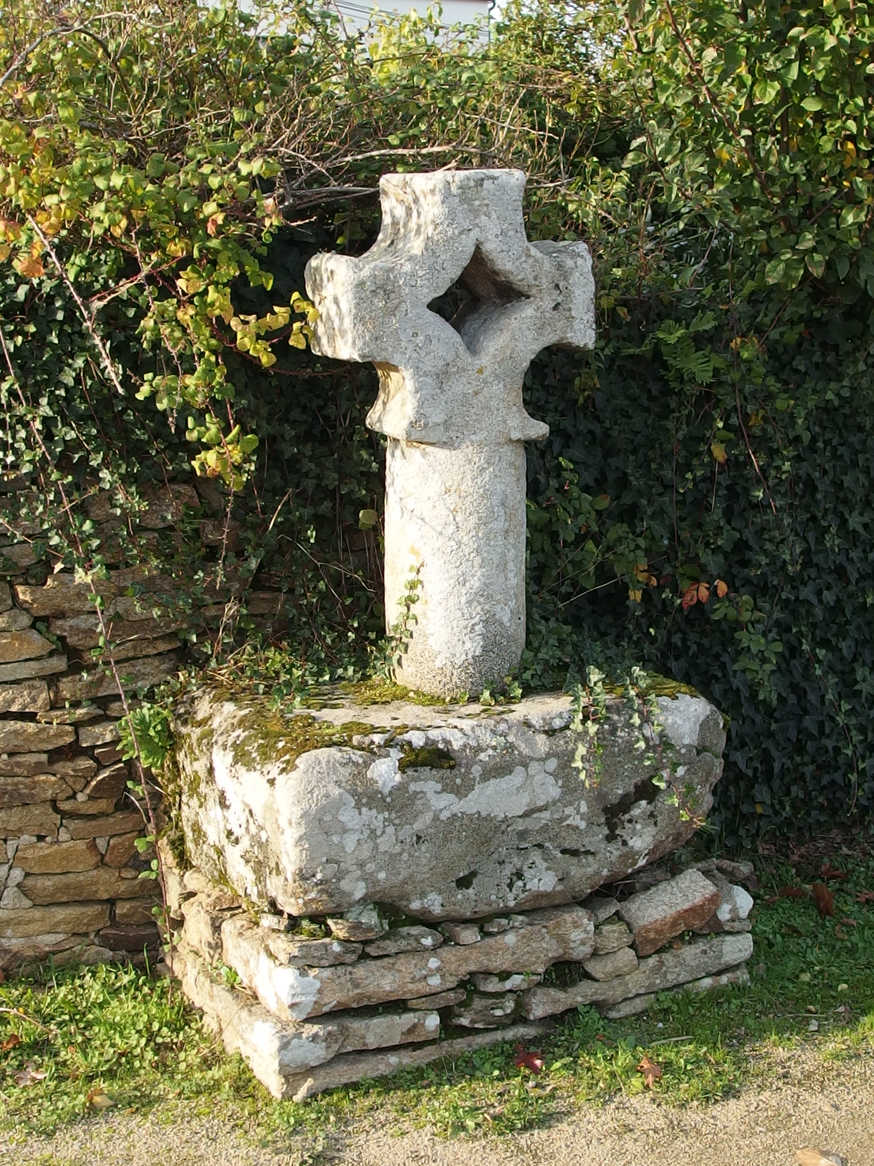 Pluneret photo 3