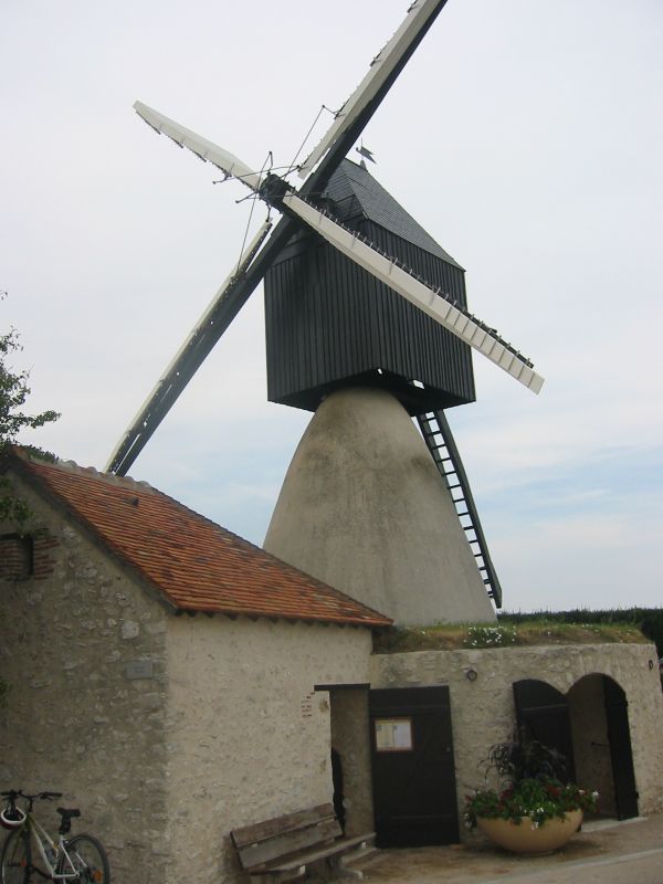 Saint-Laurent-Nouan photo 3