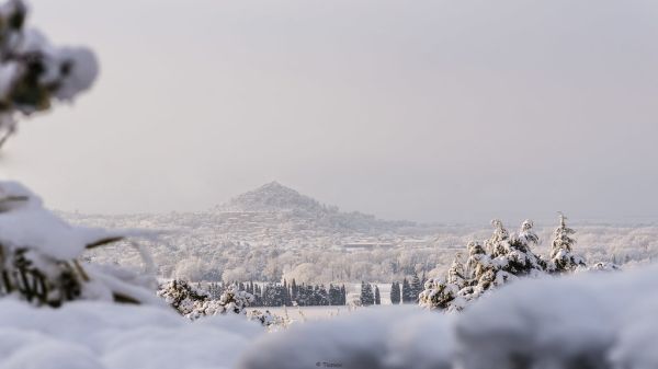 Vidauban photo 4